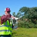 Man wearing a reflective safety vest looks at a white drone he is holding at shoulder height. A toppled pine tree and empty agricultural field are in the background.