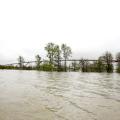 The rusty poles of an overhead, pivot irrigation system and a thin row of trees rise from the waves and gray floodwaters under a bleak sky.