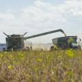 A combine moves through a field, pouring harvested grain into a tractor driving alongside.