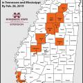Regional map of Mississippi and Tennessee counties with cases of chronic wasting disease.