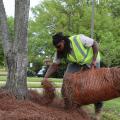 A man in a reflective vest leans over holding a bale of pine straw in one hand while using the other hand to spread pine straw on the ground.