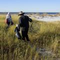 A man in the center of the photo is shown from the back wearing a bucket hat and black wind suit picking up trash in tall grass along a beach. Another person with a gray jacket and red backpack is in front of him with a trash bag, while another person in a black jacket with the hood up takes pictures. A blue sky and ocean water are in the background.