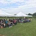 A crowd sits under tents as a speaker addresses them.