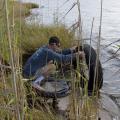 A man kneeling in tall grass picks up a tire out of water.