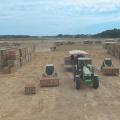 Overhead shot of a field with tractors and sweet potatoes in wooden bins.