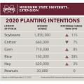 Graphic showing 2020 planting intentions