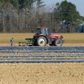 Two workers walk behind a red tractor in a field.