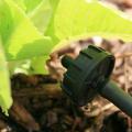 A round, black plastic head faces a plant.