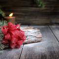 A red bow rests on a log with evergreen foliage in front of a candle.