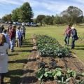 People look at plants in a garden.