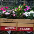 Plants with colorful flowers fill a child’s wagon.