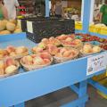 Peaches displayed for sale on a bright blue table. Production and sale of peaches, strawberries and other fruit and vegetable truck crops are on pace to be strong once again this year. (File photo by MSU Extension/Kat Lawrence)