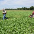 Stanley Wise, Union County Extension director, used a GPS unit to map out a maze for Andy Clark to mow into his sorghum-Sudangrass field at Clark Farms in Chickasaw County on Sept. 12, 2012. Clark added the agritourism business to his sweet potato operation and has found grass easier to grow for his maze than corn. (Photo by MSU Ag Communications/Scott Corey