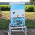 Beekeepers often choose to place bee colonies near row crops, such as this cotton field in Lowndes County, Mississippi, because the plant blooms provide much-needed nectar during the hot summer months. (File Photo by MSU Ag Communications