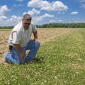 What looks like weeds to a farmer or landowner is forage for pollinators such as honeybees. Angus Catchot and other researchers at Mississippi State University are part of efforts to find management plans that balance competing needs. (Photo by MSU Extension Service/Kevin Hudson)