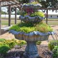 Staff members at the Mississippi State University Truck Crops Experiment Station are working to put together displays such as this flower-filled fountain for the Fall Flower & Garden Fest scheduled for Oct. 16 and 17 at the station. (Photo by MSU Ag Communications/Susan Collins-Smith)