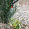 Plants growing near an herbicide application site can absorb chemicals from the soil that were intended for another plant.