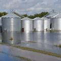 Flooded grain bins in Crowley, Louisiana, are among the many problems Louisiana producers are facing after historic flooding caused more than $100 million in damage to the state’s agriculture. Mississippi State University Extension Service personnel have worked with state hay growers to send forage to producers in Louisiana affected by flooding earlier this month. (Photo by Louisiana State University AgCenter Communications/Bruce Schultz)