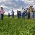 Rocky Lemus (left), forage specialist with the Mississippi State University Extension Service, explains successes and challenges with fescue growing at the H.H. Leveck Animal Research Center. Lemus led tours during a Forage Field Day near Starkville, Mississippi, on April 7, 2016. (Photo by MSU Extension Service/Kevin Hudson)