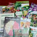 Nothing beats looking at displays of beautiful plants in the garden center, but an advantage of ordering from catalogs is getting exactly the variety you want and maybe even trying news ones. (Photo by MSU Extension/Gary Bachman)