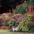 When gardeners discover the harmony that results from using varying colors and textures, what was once considered simply a flower border takes on the look of a real garden.
