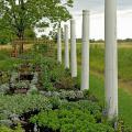 Columns from a former home provide a ghostly Southern archaeological feel to the edge of this Delta garden.