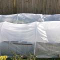 Use PVC pipe and plastic sheeting to make a simple greenhouse structure to provide cold-weather protection for landscape plants.