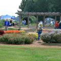 The annual Fall Flower and Garden Fest in Crystal Springs is one of the premier gardening events in the Southeast. Last year, about 5,000 people attended the two-day event. (Photo by MSU Extension Service/Gary Bachman)