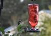 One hummingbird hovers near a red hanging feeder while a second perches on it.