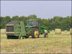 Hay field