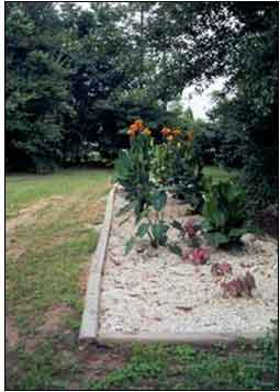 This is an image of a flower garden that uses a greywater system.