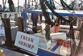 Shrimp boat with fresh shrimp sign.