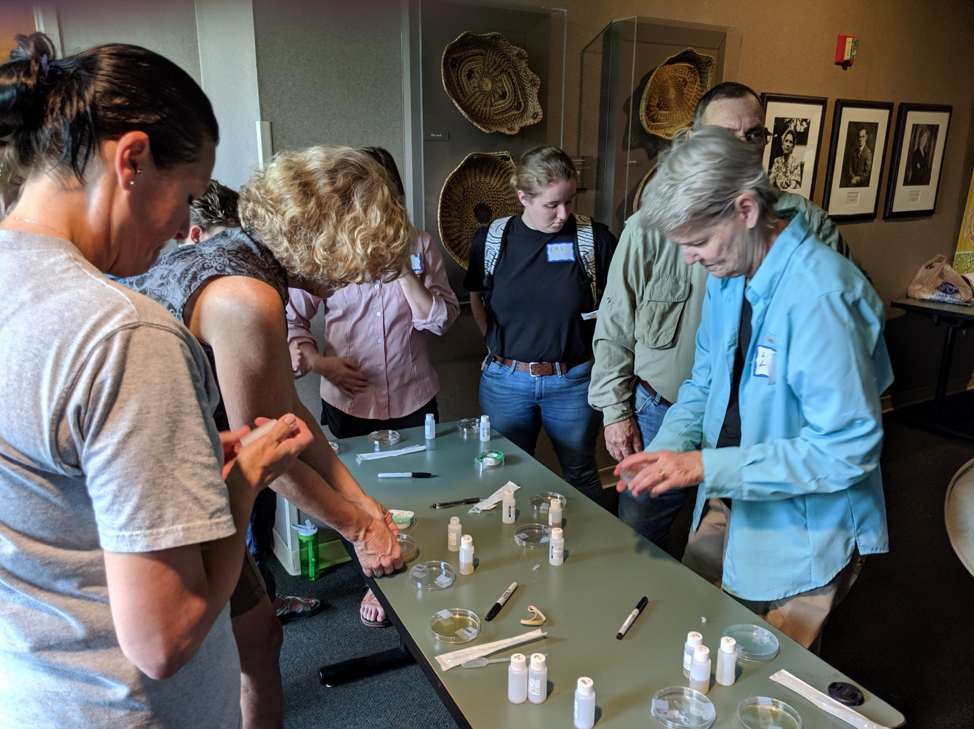 Small group of people testing water.