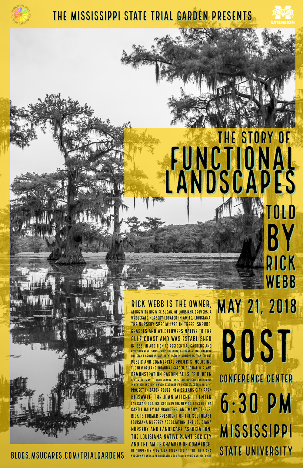 The Story of Functional Landscapes
